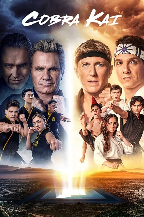 Cobra Kai Cover