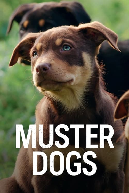 Muster Dogs Cover