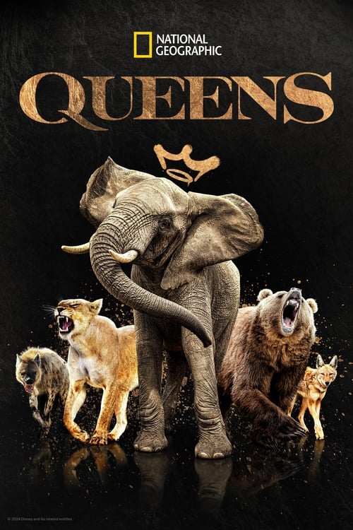 Queens Cover